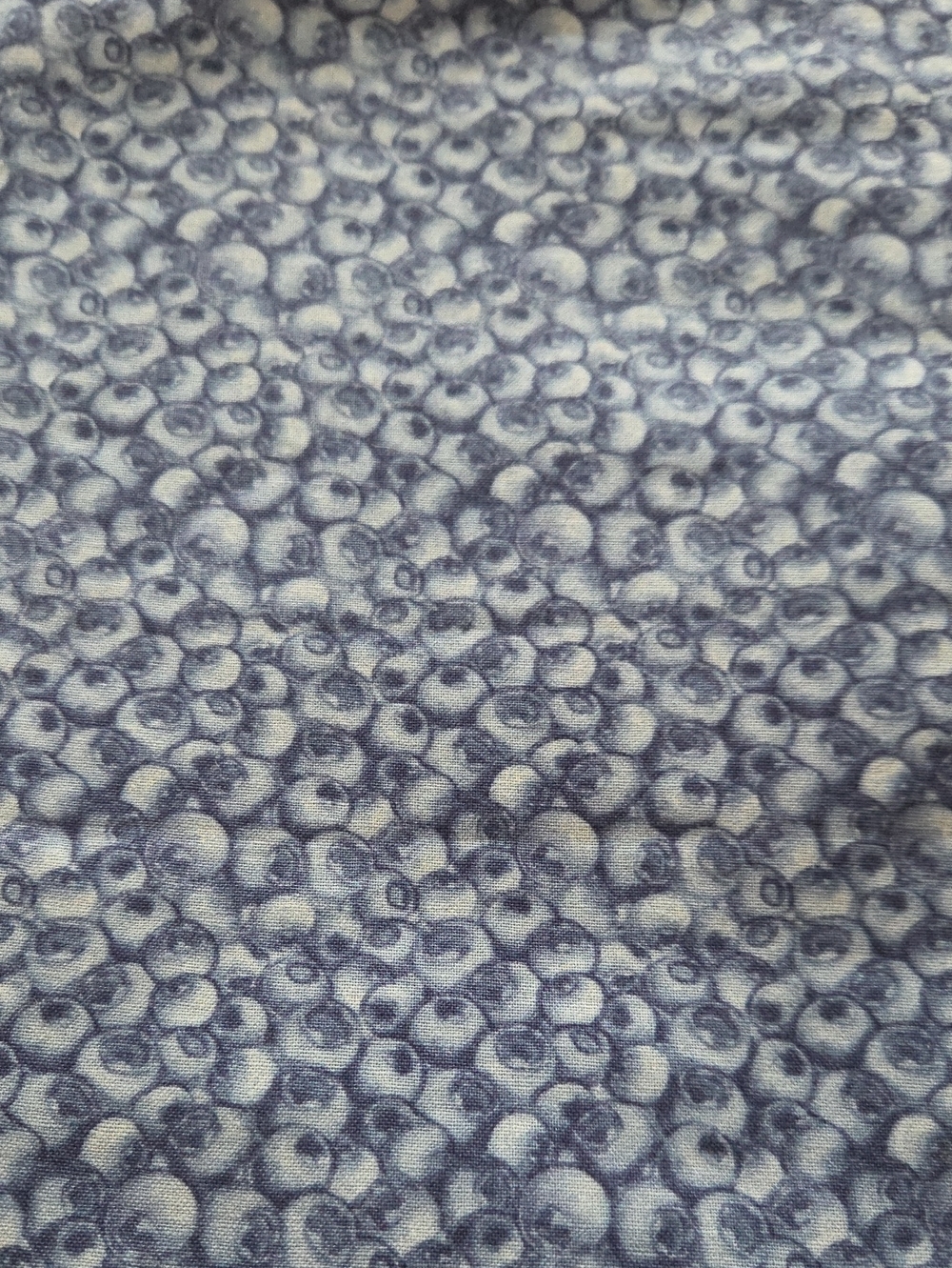 Blue Berry Print Place mats